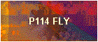 P114 FLY